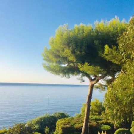 Villa Cannes Directly On The Sea Exterior foto