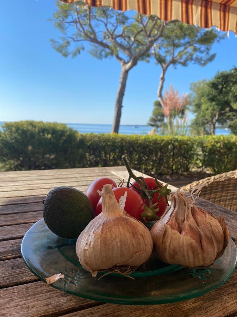 Villa Directly On The Sea Cannes